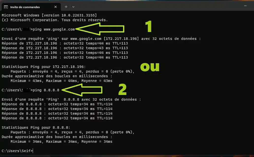 ping-google-com-1